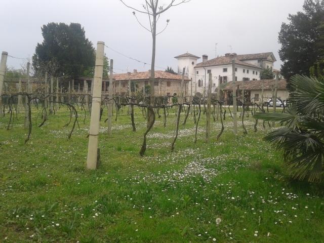Alloggio Agrituristico Conte Ottelio Pradamano 外观 照片